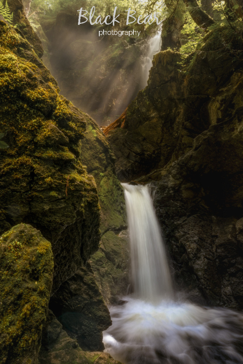 Streams of Light