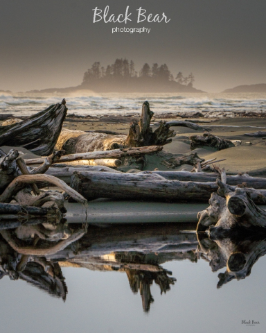 Spring Reflections