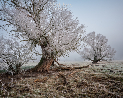 It\'s cold in Germany