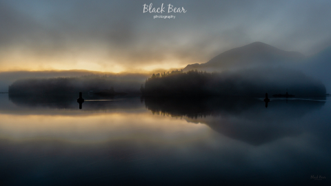 Glowing morning fog