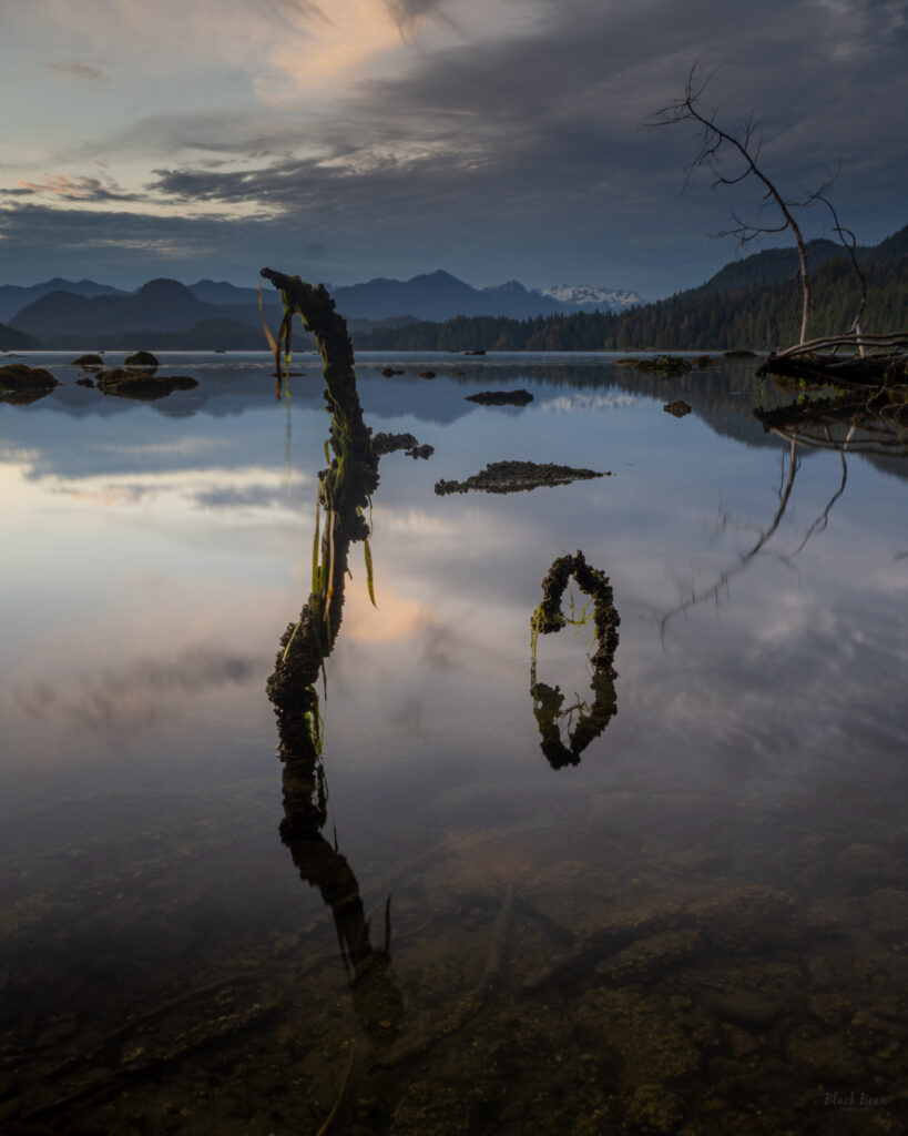 Photo of Lemmens Inlet from Meares Island
